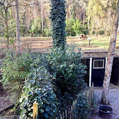 Comfortable Chalet In A Unique Location In Forest Essen Luaran gambar